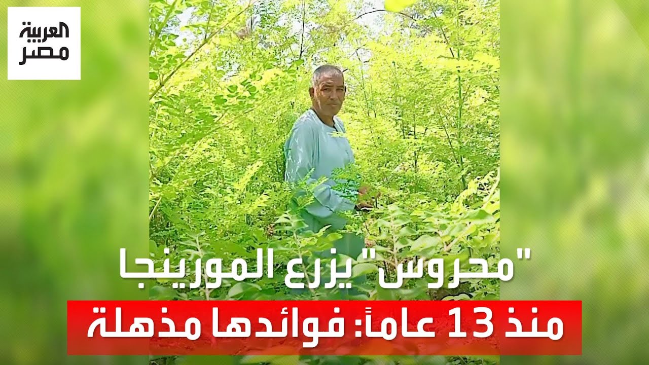 بدأ بـ10 شجرات حتى فدان ونصف الفدان.. 