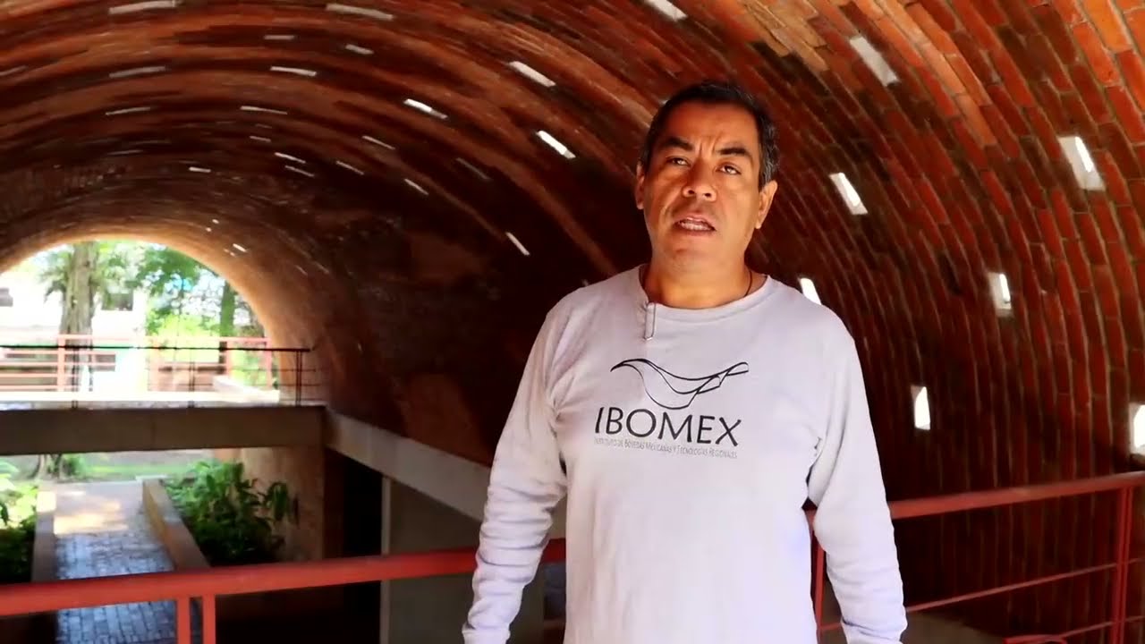 Las bóvedas mexicanas en proyectos sociales