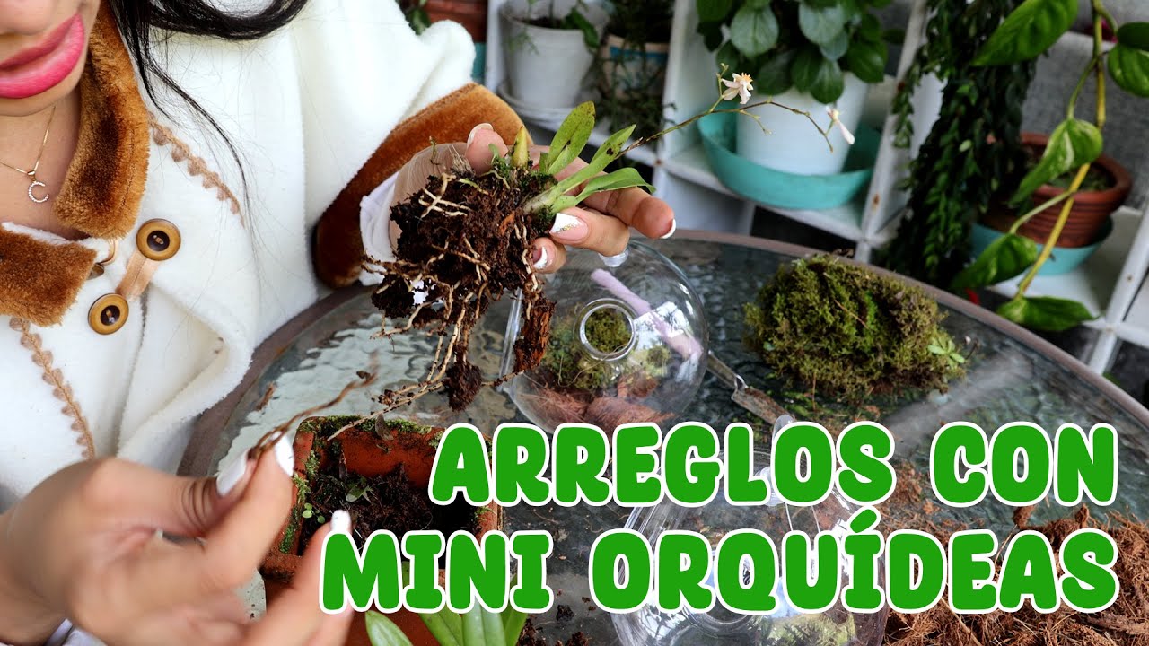 Haciendo TERRARIOS con ORQUÍDEAS |Candy Bu