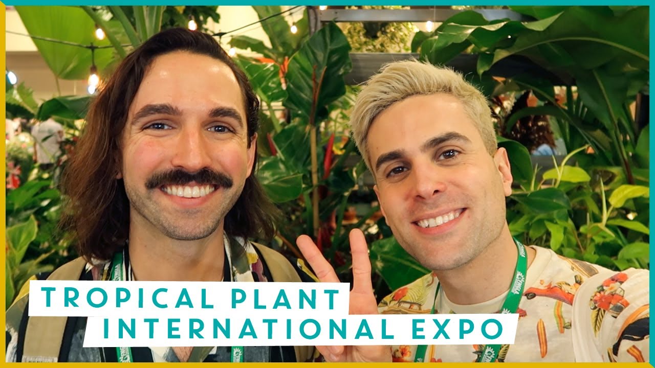 Exploring the Tropical Plant International Expo | Daddy's Plants