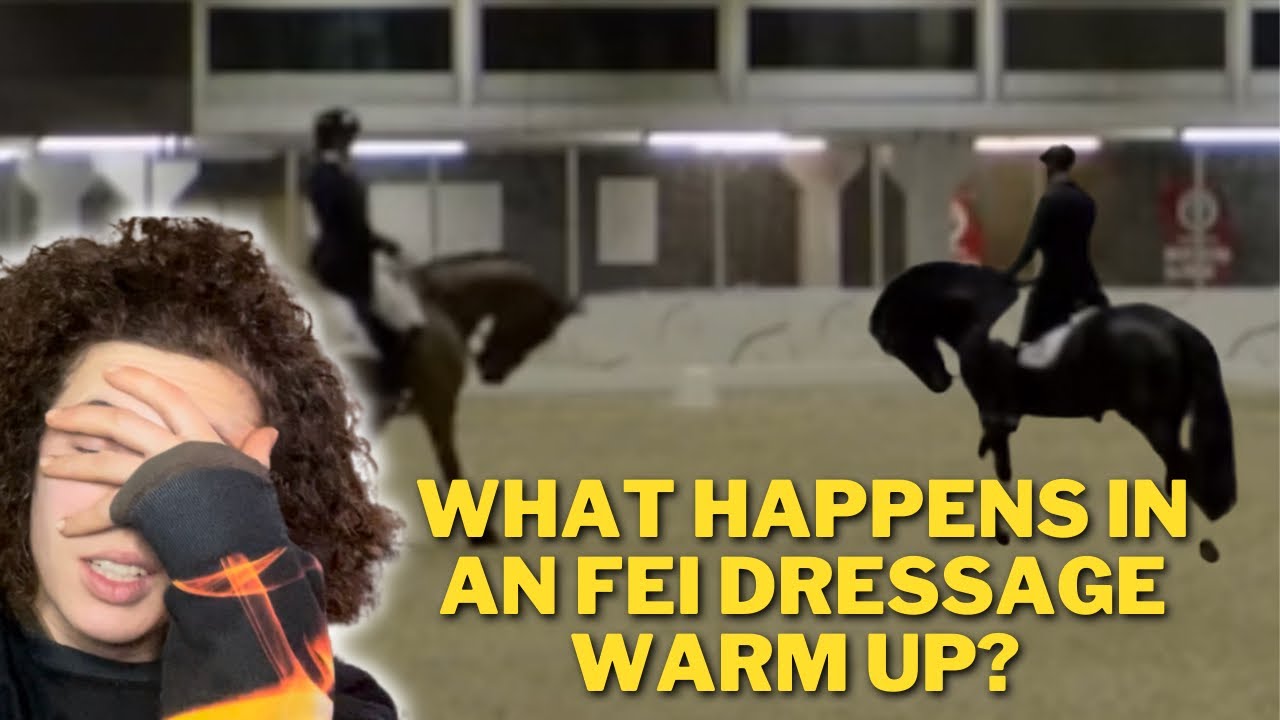 What Happens in an FEI Dressage Warm Up Ring? Rollkur at the Gothenburg Horse Show