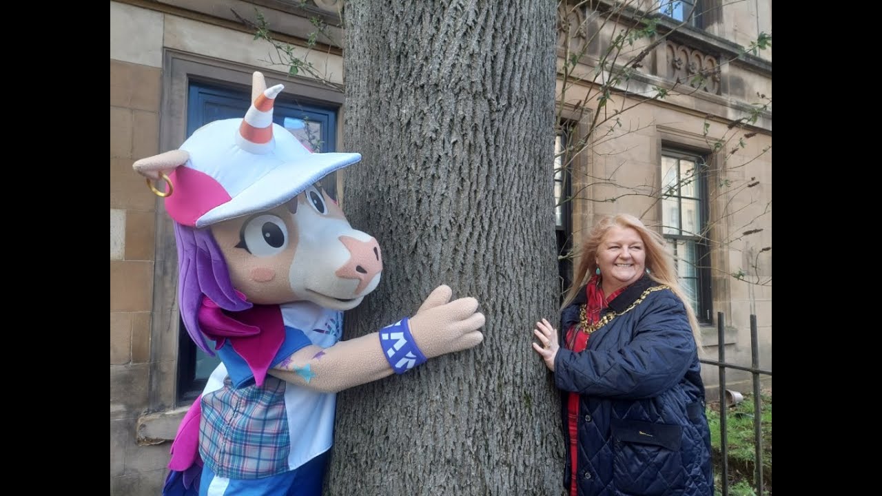 The Argyle Street Ash tree competes in Eurovision4Trees
