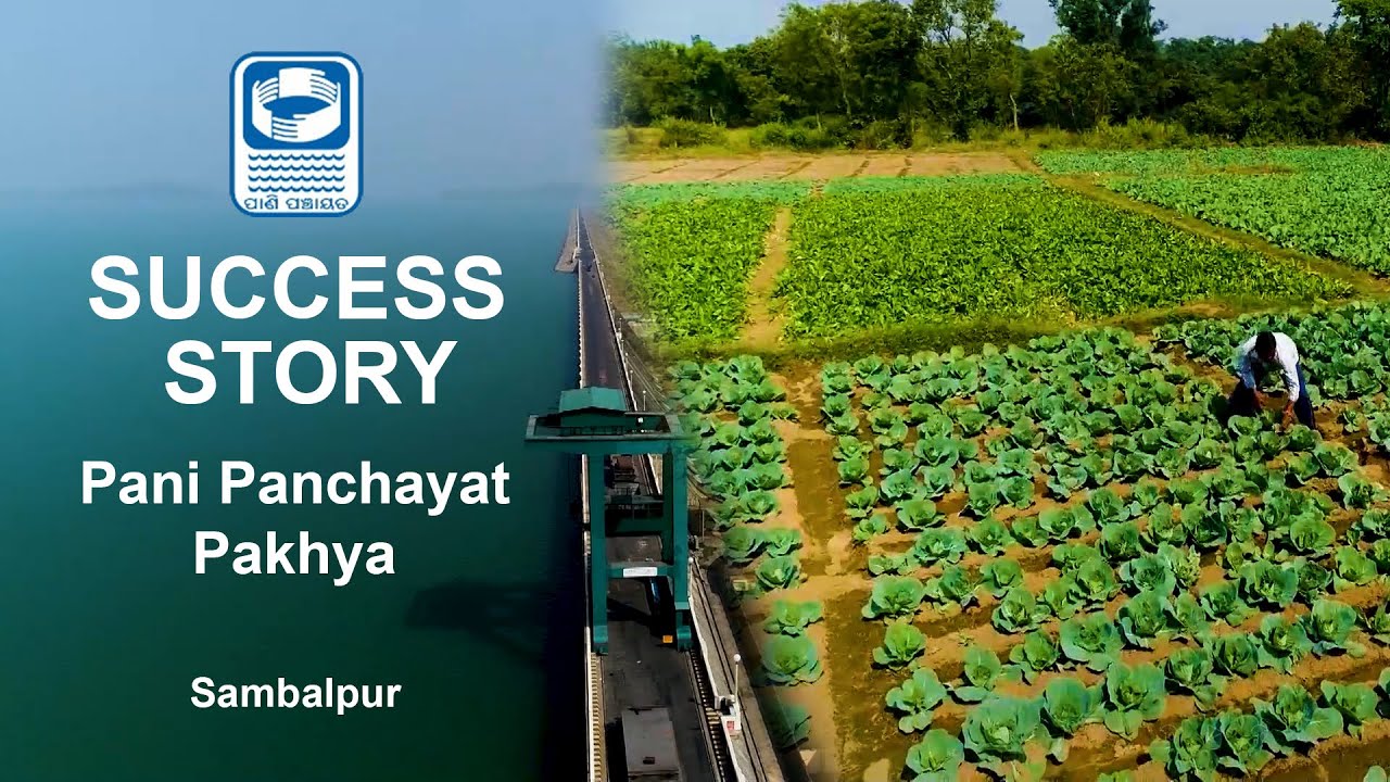 SUCCESS STORY || SAMBALPUR || PANI PANCHAYAT || WATER RESOURCES ODISHA