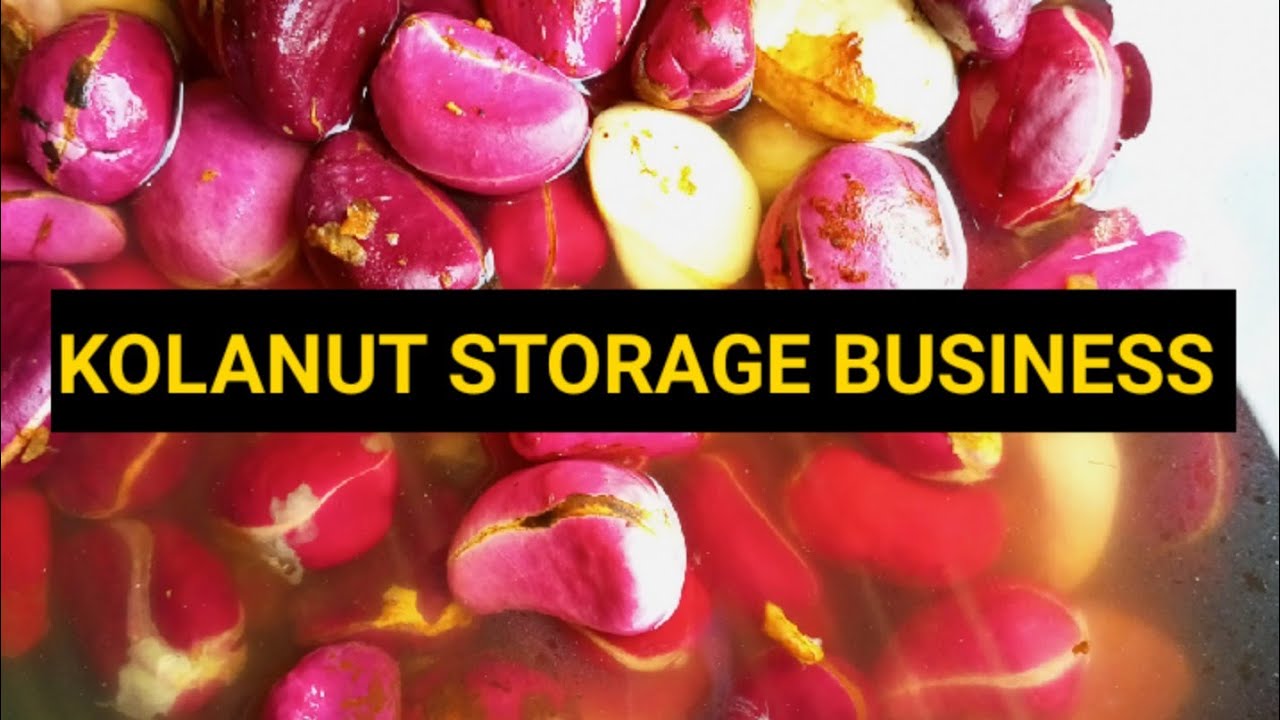 HOW TO START KOLA NUT STORAGE BUSINESS. #kolanut #selfstorage #cola