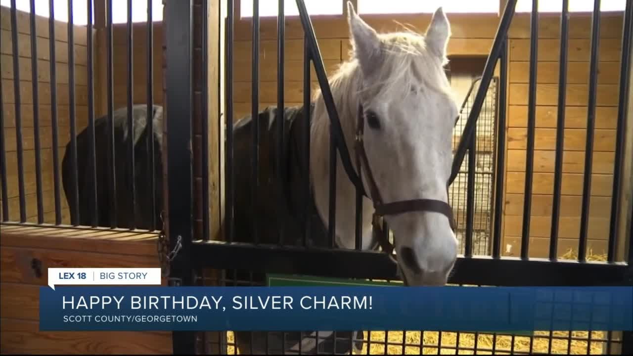 Silver Charm celebrates 28th birthday