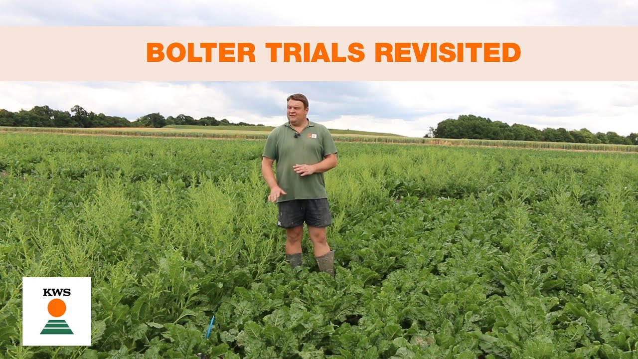 Bolter Trials Revisited