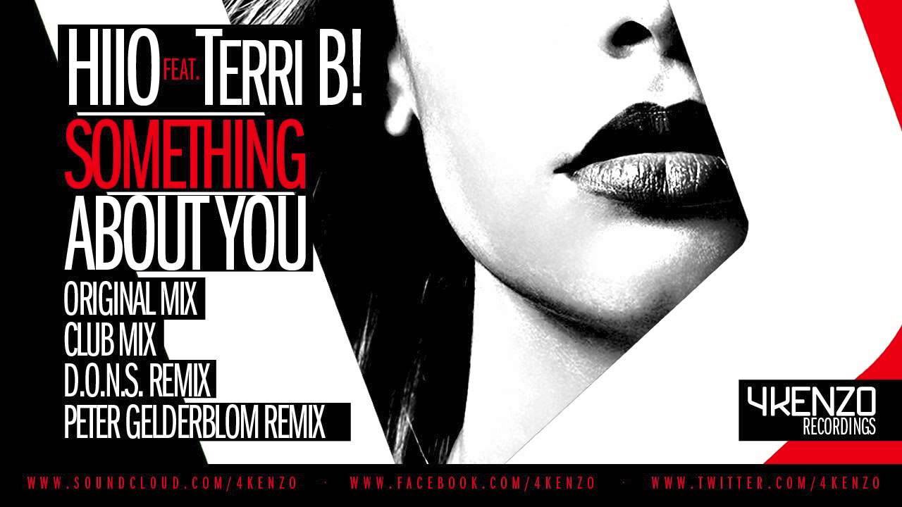 HIIO Feat. Terri B! - Something About You (D.O.N.S Remix)
