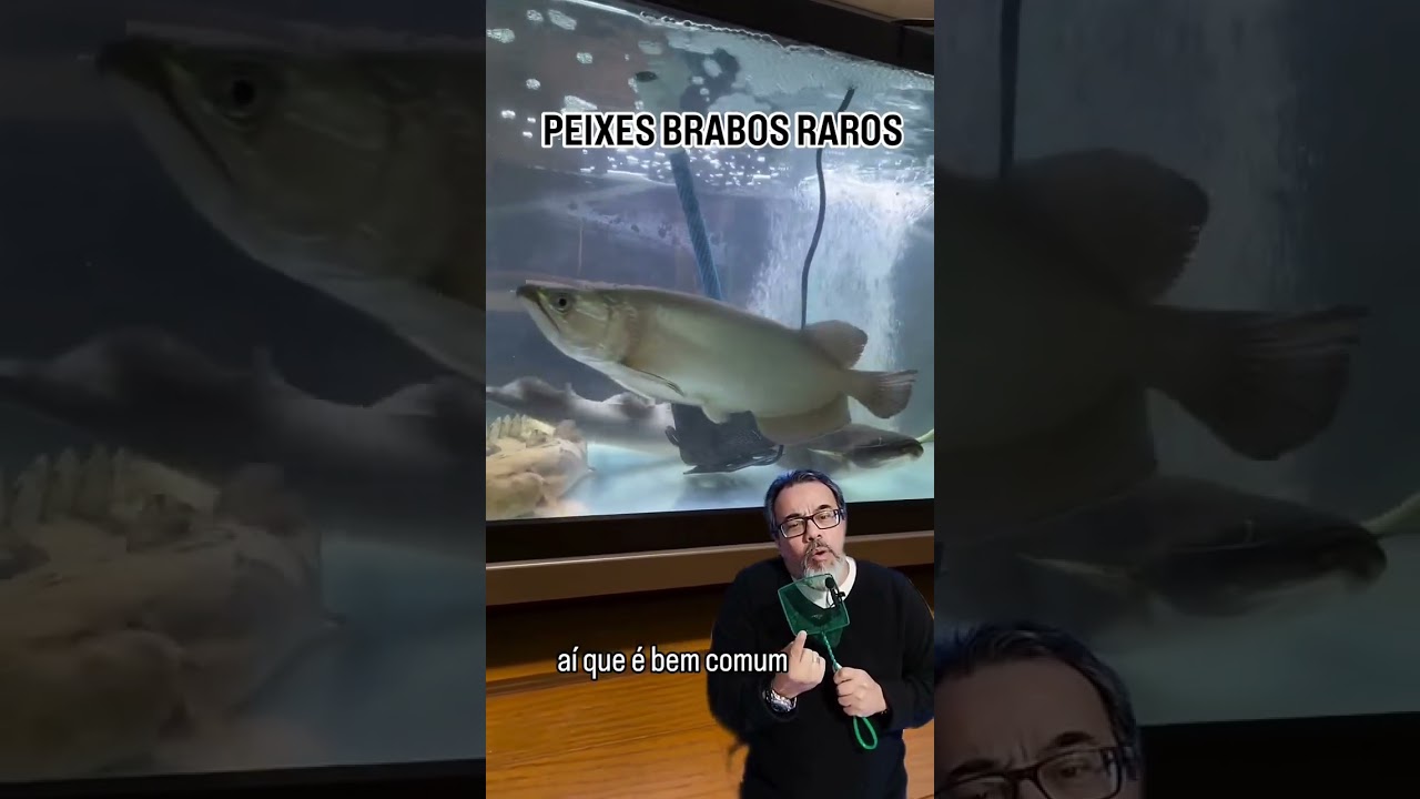 5 PEIXES RAROS #aquarismojumbo