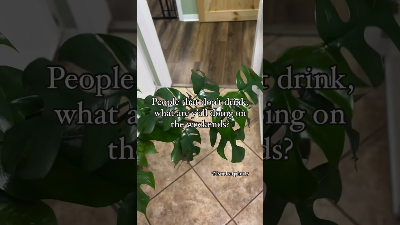 This is what I do on the weekends #plants #plantgoals