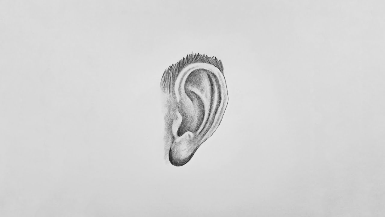 Ear 👂Pencil Drawing Practice
