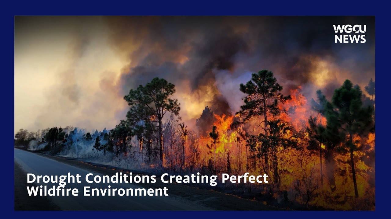 Drought Conditions Creating Perfect Wildfire Environment