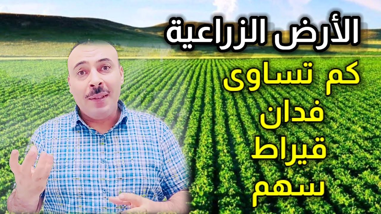 الطريقة الأسهل لتقسم مساحة الارض الزراعية  الى فدان وقيراط وسهم  | المساحة والخرائط |رامى خليل