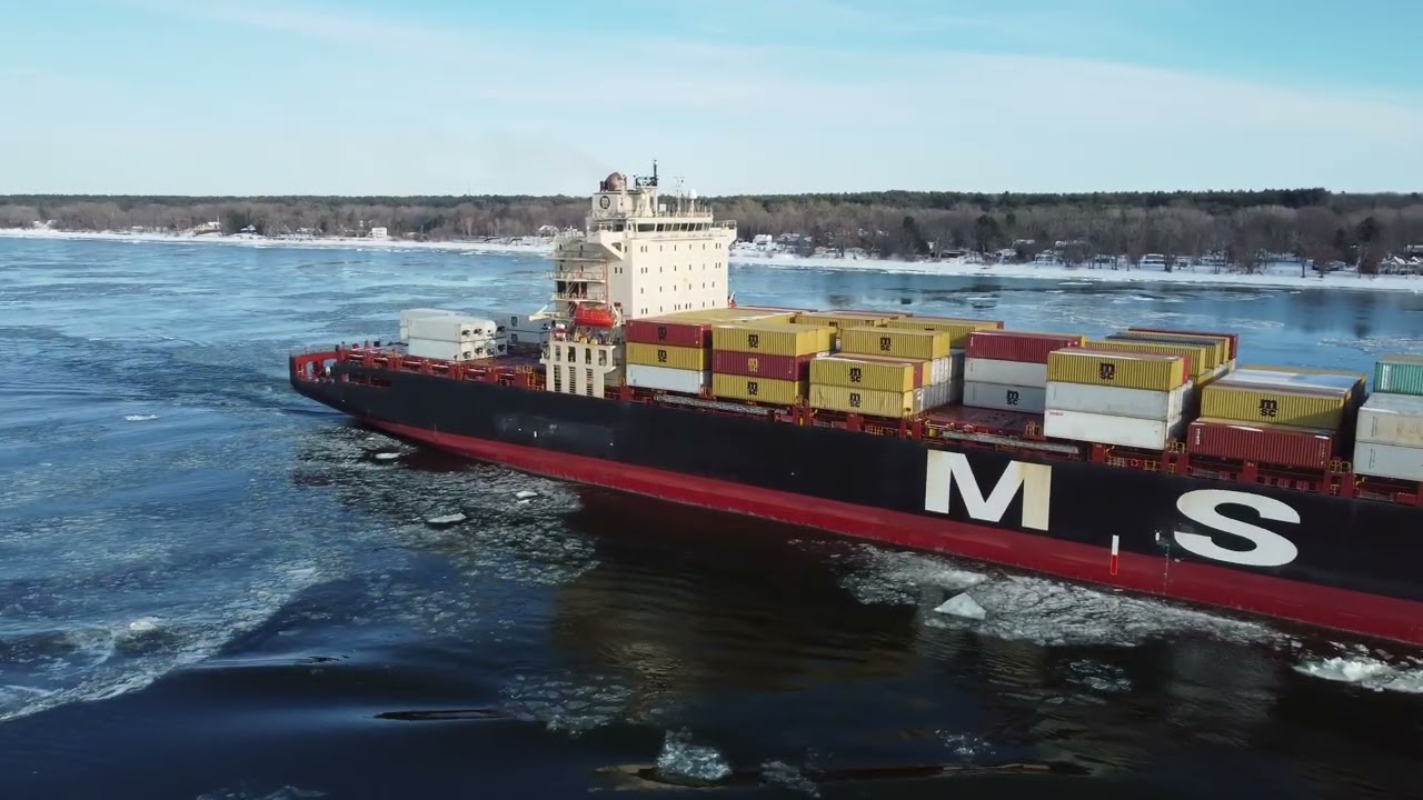 MSC Barbados Feb26