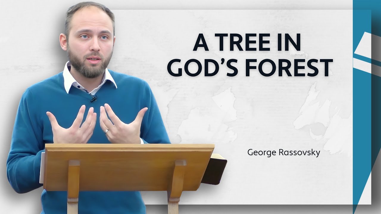 Дерево в Божьем лесу — Георгий Рассовский