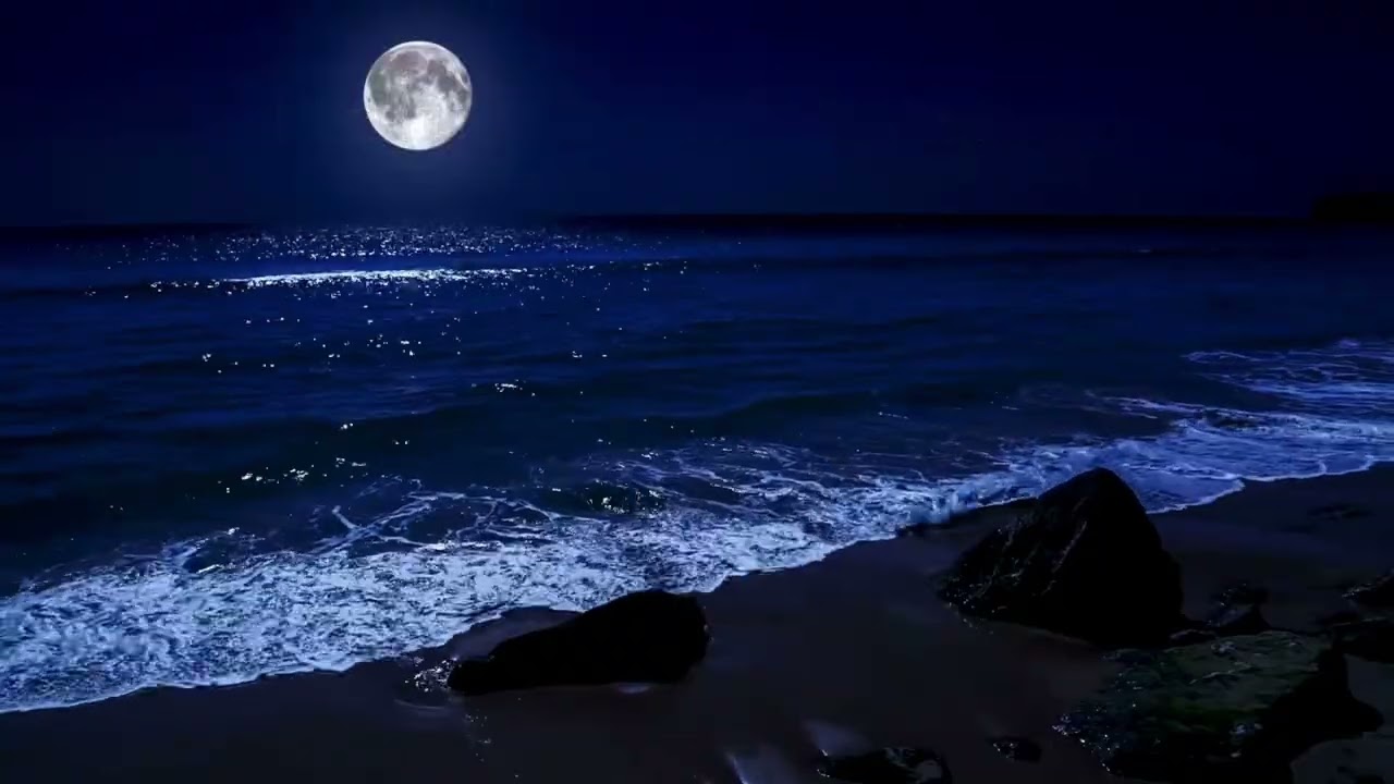 The Ocean