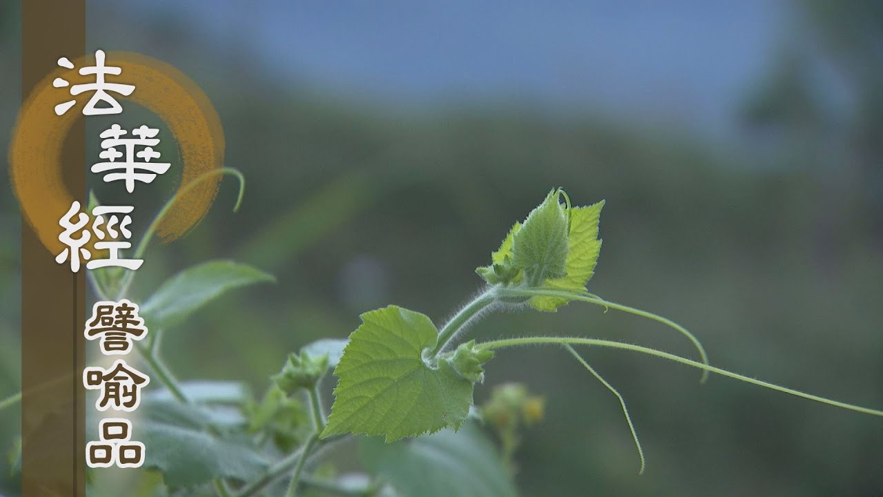 【靜思妙蓮華】法華經譬喻品 - 以無漏功德為樂 - 20201217 第600集