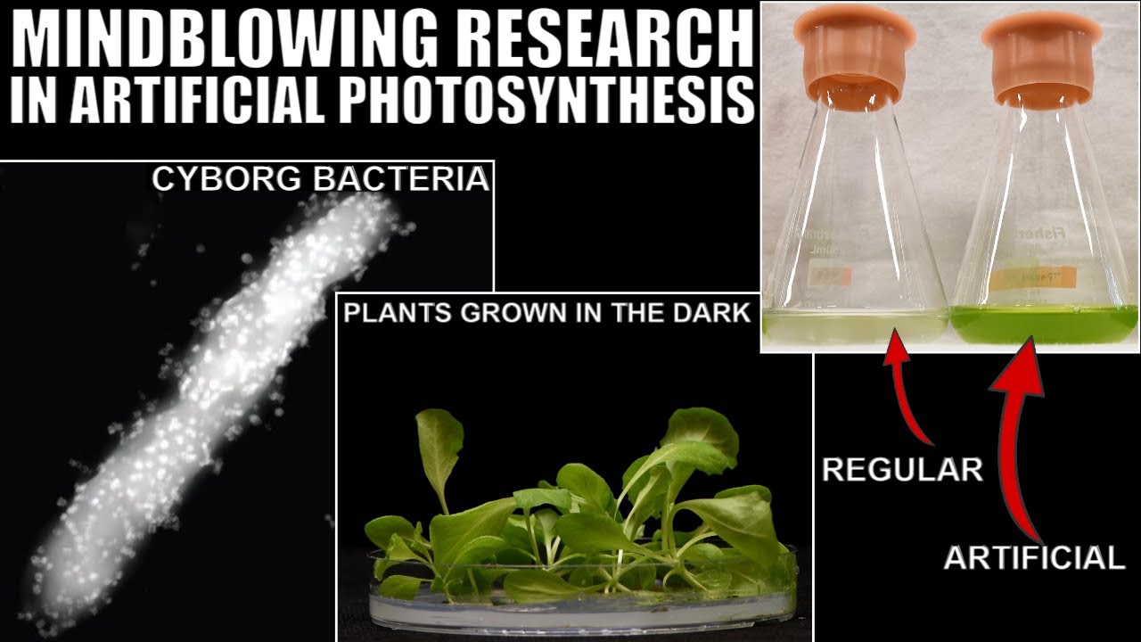 Groundbreaking Research in Artificial Photosynthesis - Doing What Nature Couldn't