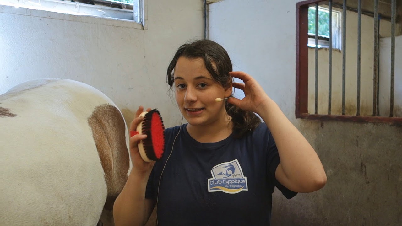 Tuto Comment brosser son poney ou son cheval