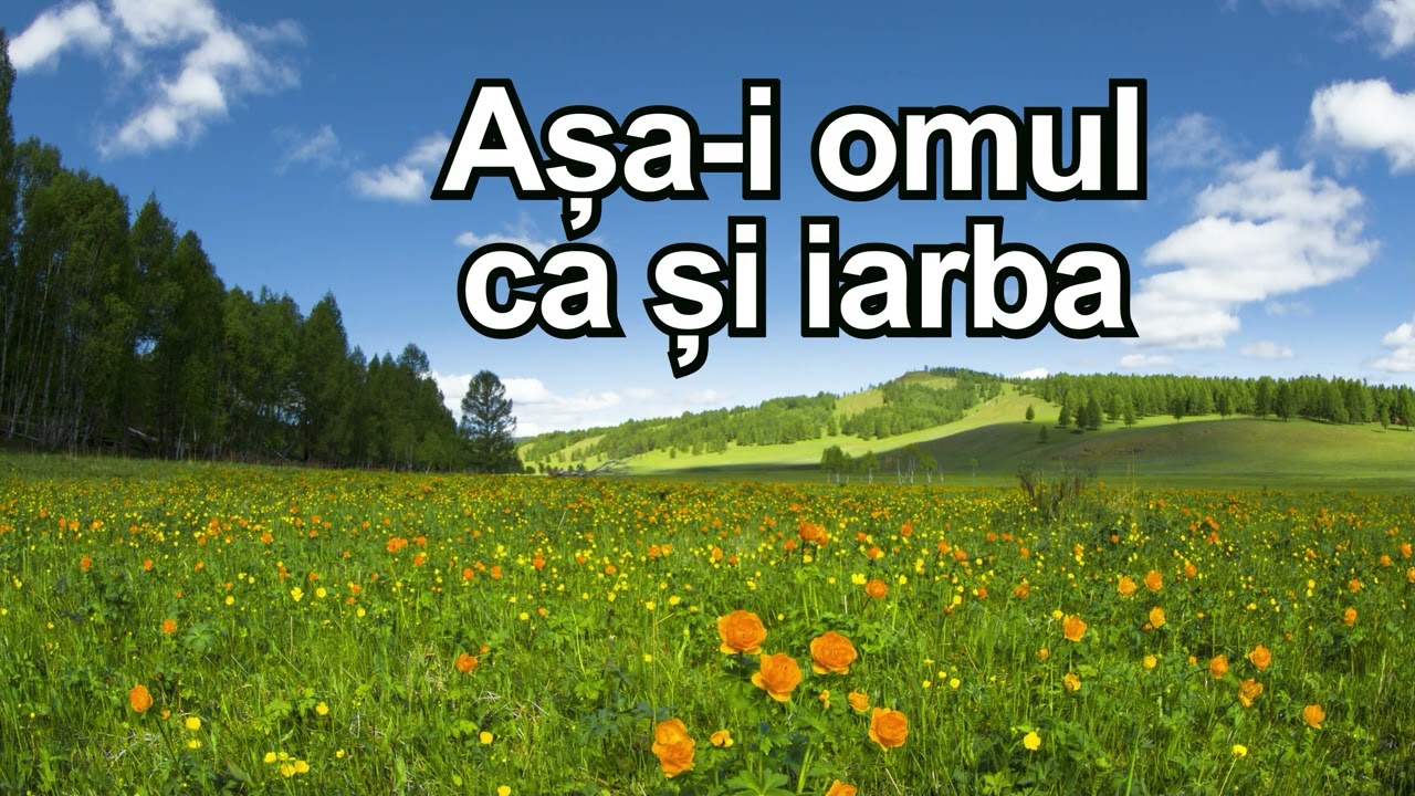 Romica Ibanescu - Asa-i omul ca si iarba