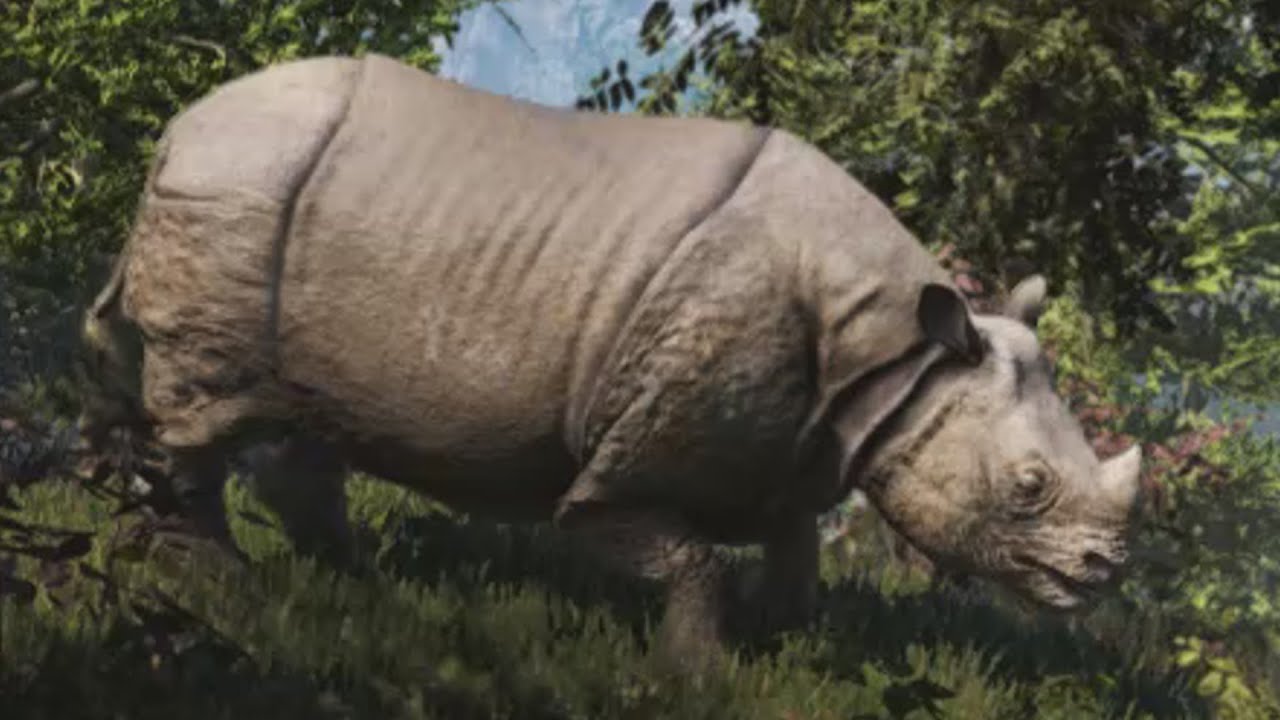 Far Cry 4 - Rhino´s , how to safely double skin hunt them