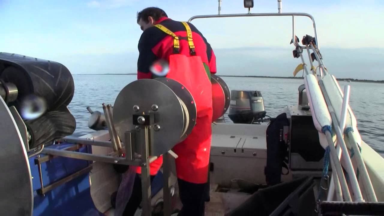 Markrel Fiskeri Nr 2