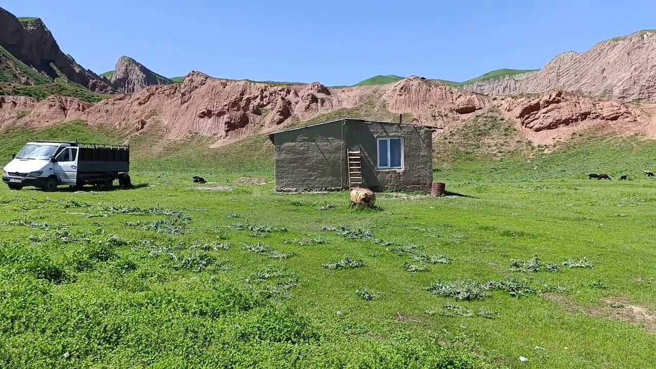 шашылыш түрдө Сарай сатылат жайыты кенен тел 0700396743