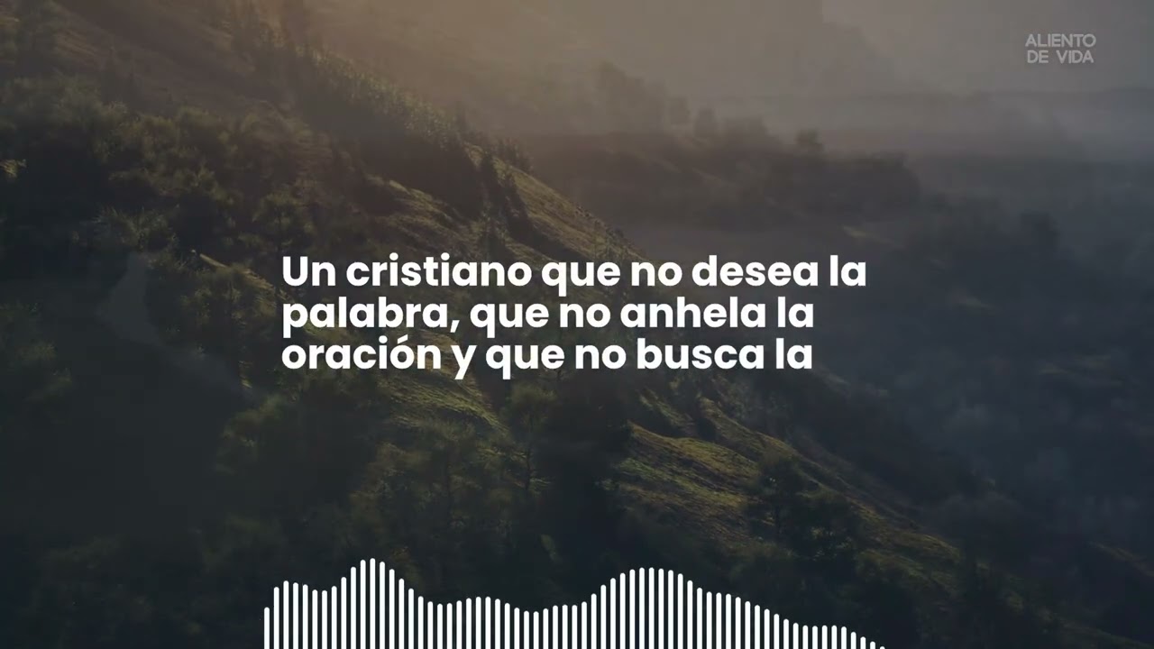 EL APETITO DEL ALMA:  HAMBRE Y SED DE JUSTICIA