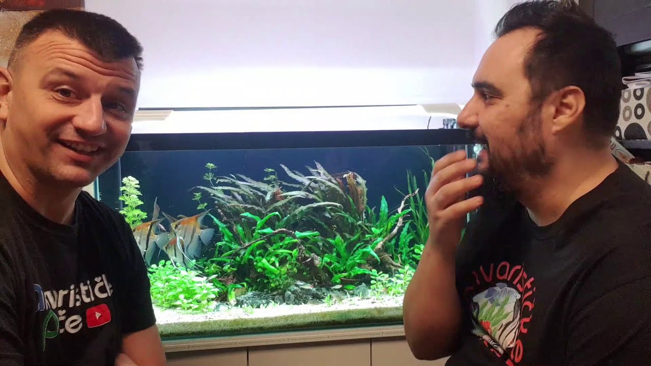 Akvarističke Priče, sez.3 ep.1 