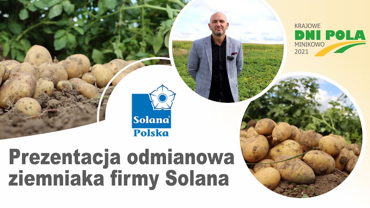 Krajowe Dni Pola 2021 - Prezentacja odmianowa firmy Solana Polska