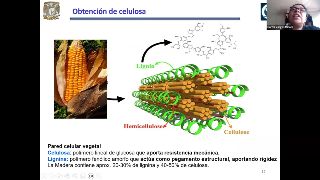 Síntesis, caracterización y evaluación de celulosa-g-poli(4vinilpiridina), usando celulosa