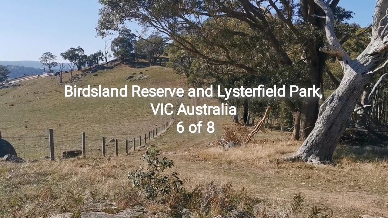 Trail Run n Scenic Stop 6, Birdsland n Lysterfield Park #reserve #listen #observe @SPsiuping