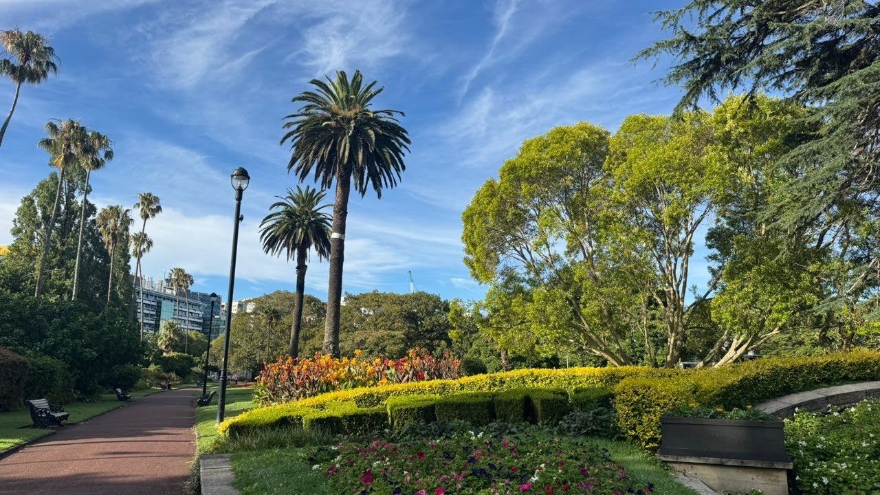 Good Morning Monday Auckland🇳🇿Live from New Zealand