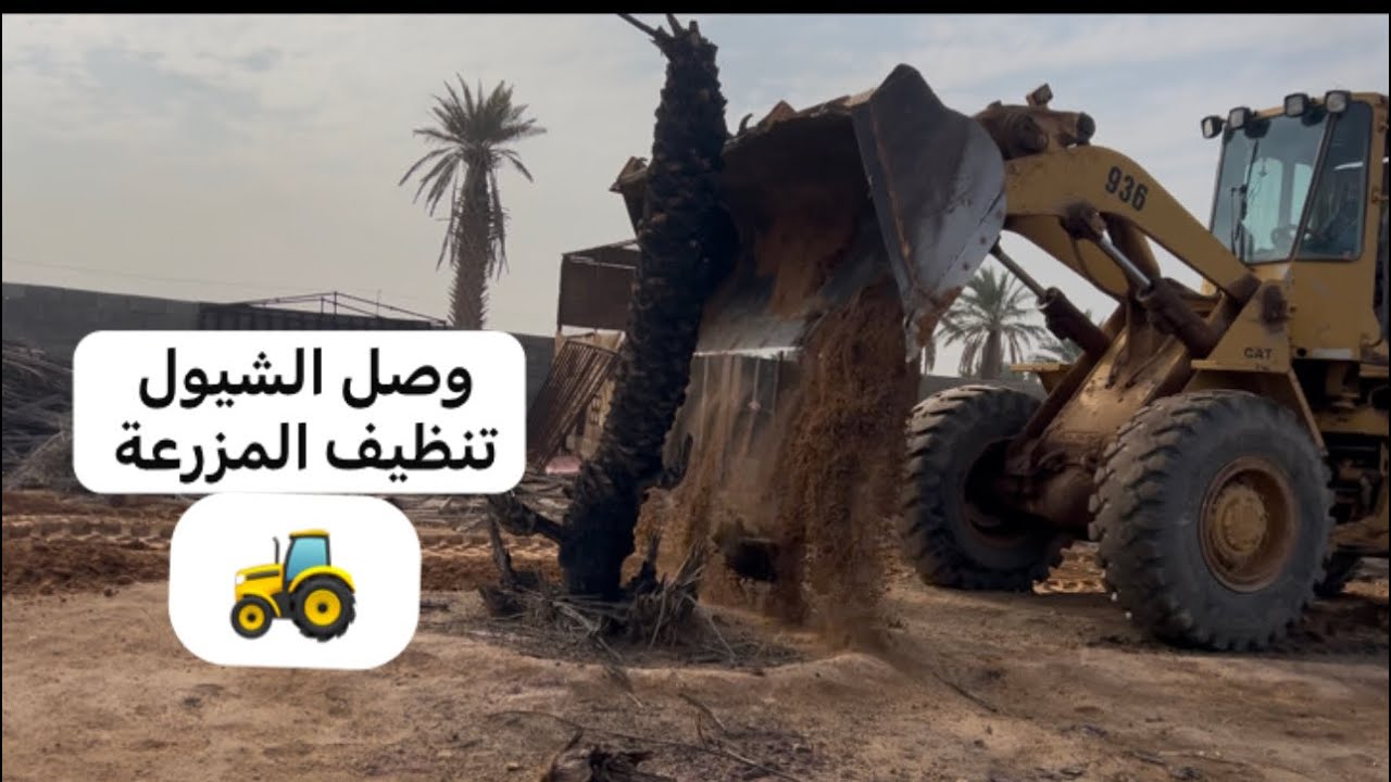 وأخيراً الشيول وصل🚜 تنظيف وترتيب المزرعة🏝️