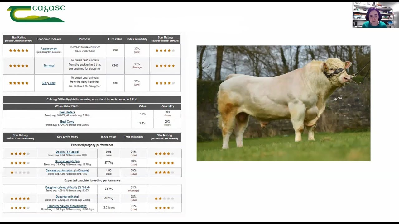 Beef Bull Selection & Heat Detection Technology - Teagasc SLD Webinar Series Spring 2022