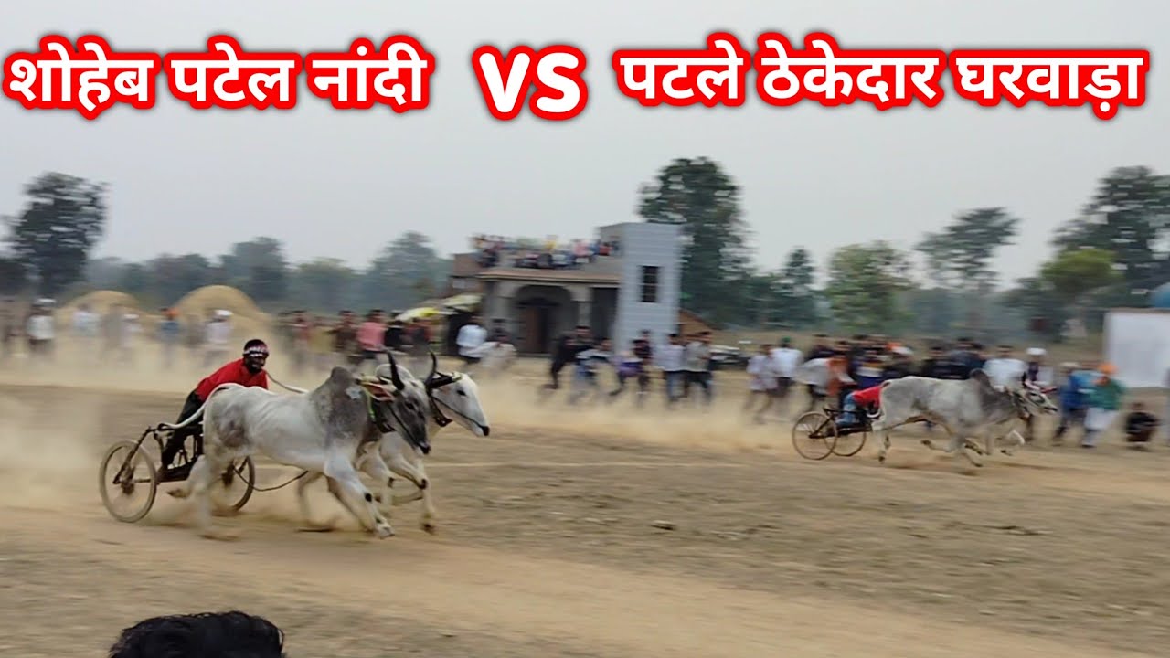शोहेब पटेल नांदी vs पटेल ठेकेदार घुरवाड़ा 1नंबर की बैल जोड़ी मलारा पट 2026