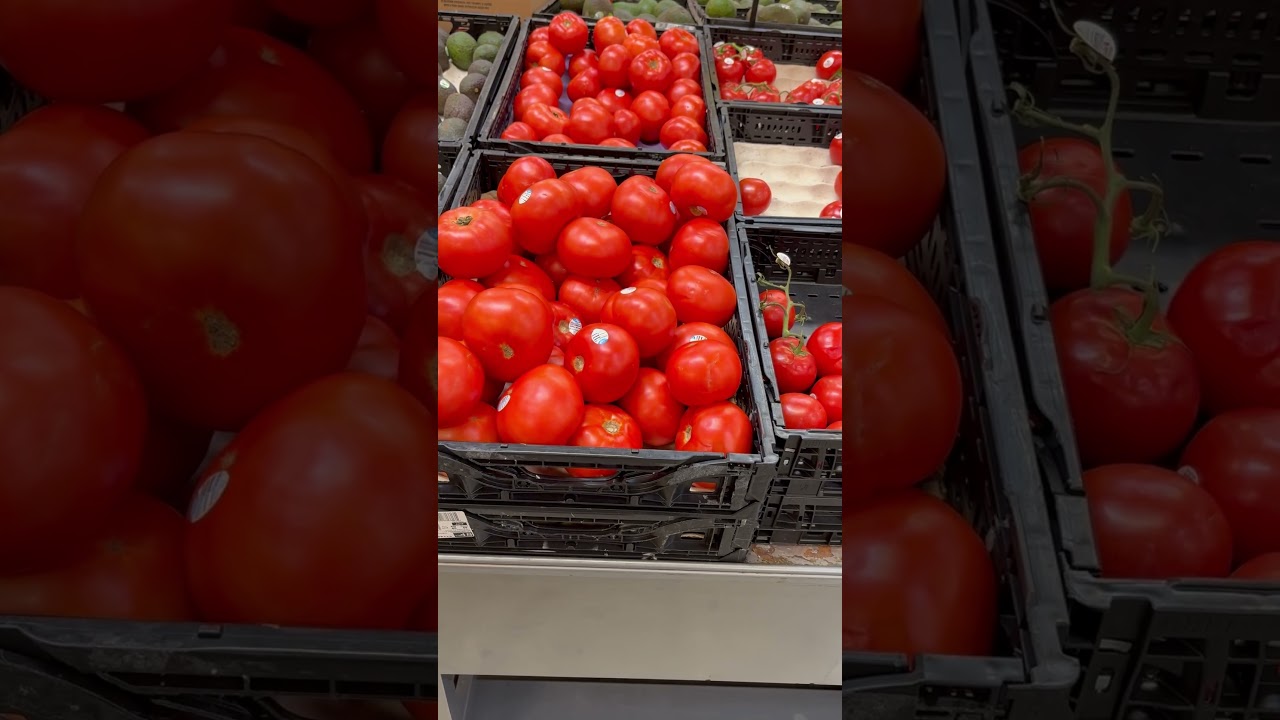 Red Tomatoes#youtube #fruit #merrillventura #