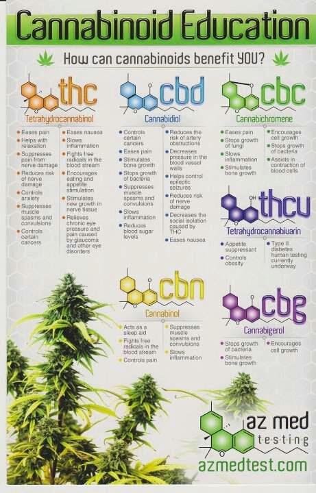 #Khanology The Hangout about Cannabis Brought to you by Casa Del Loki~XD