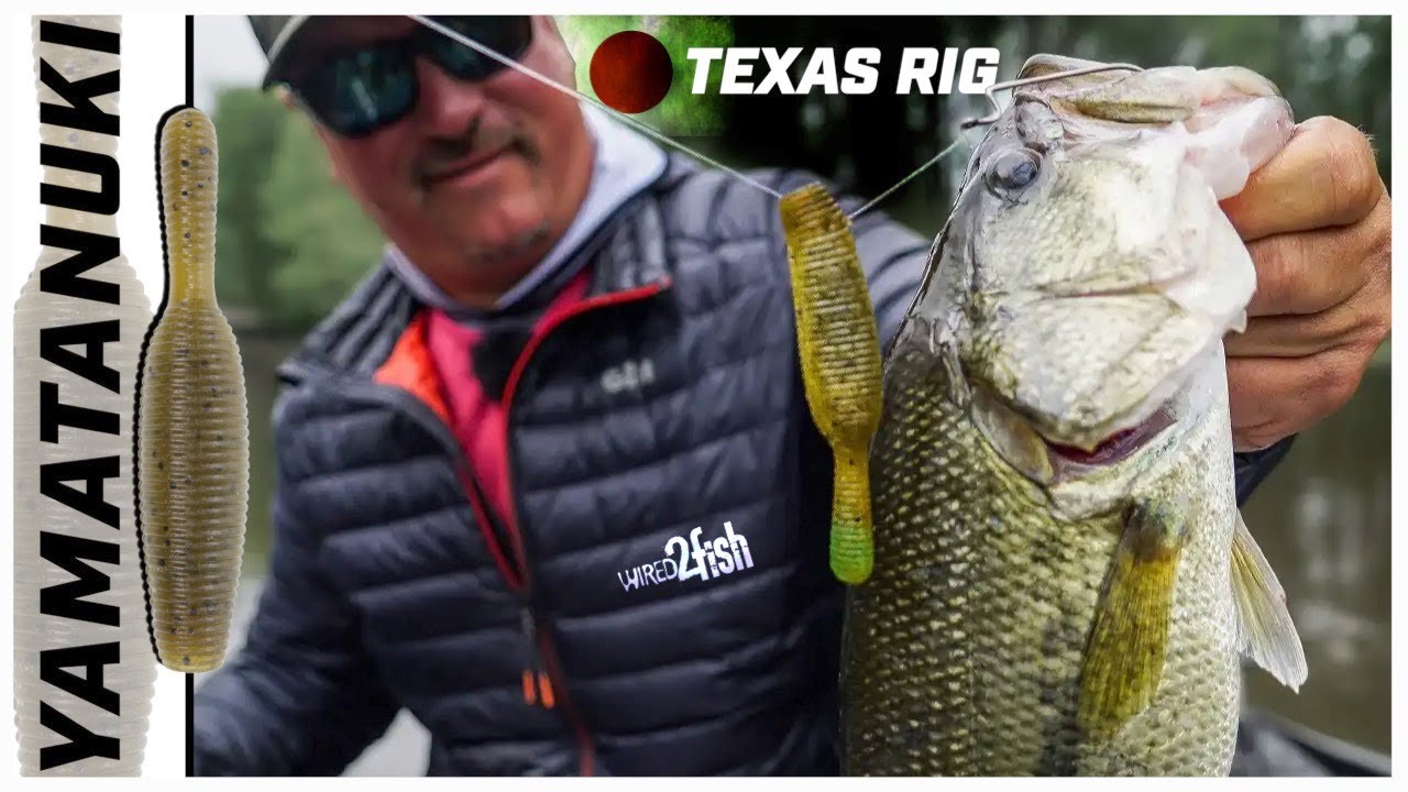 Как ловить рыбу на Yamamoto Yamatanuki | Texas Rig