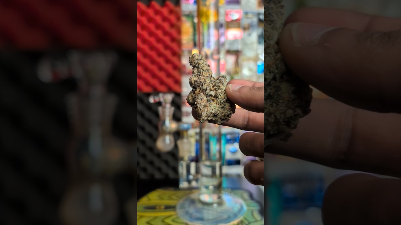 Лимонно-вишнёвое джелато Бонг Рип 🔥 #ура #420 #отзыв