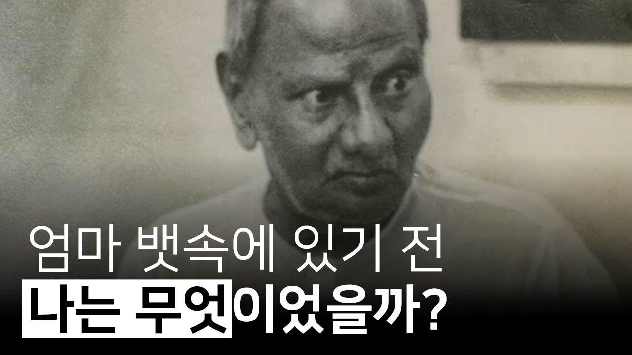 몸이 태어나는 것처럼 보이지만 의식이 태어나는 것이다 | 담배 가게 성자, 라메쉬 발세카
