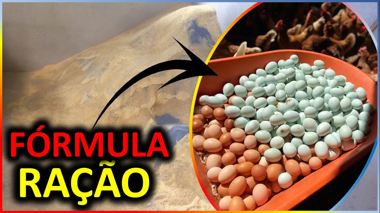 RAÇÃO CASEIRA p/ ALTA PRODUÇÃO DE OVOS CAIPIRAS
