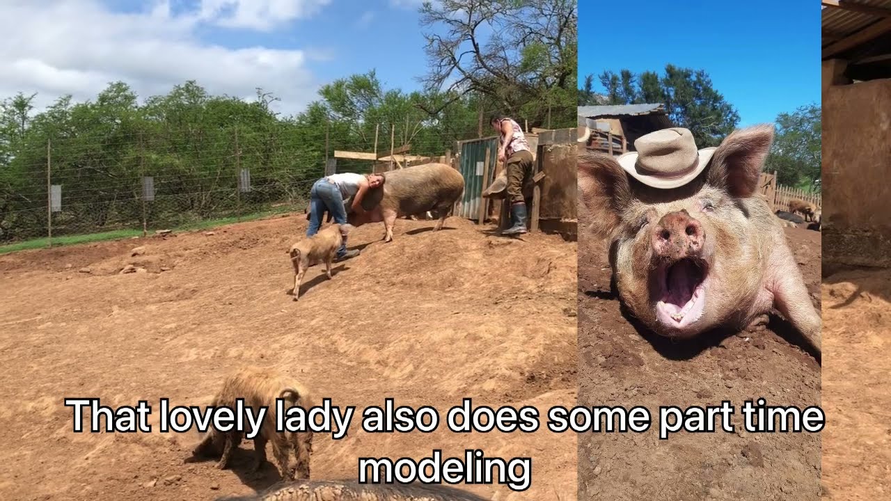 Our visit to Klein Waggie Family Farm | Off Grid South African Homestead | Path to Self Sufficiency