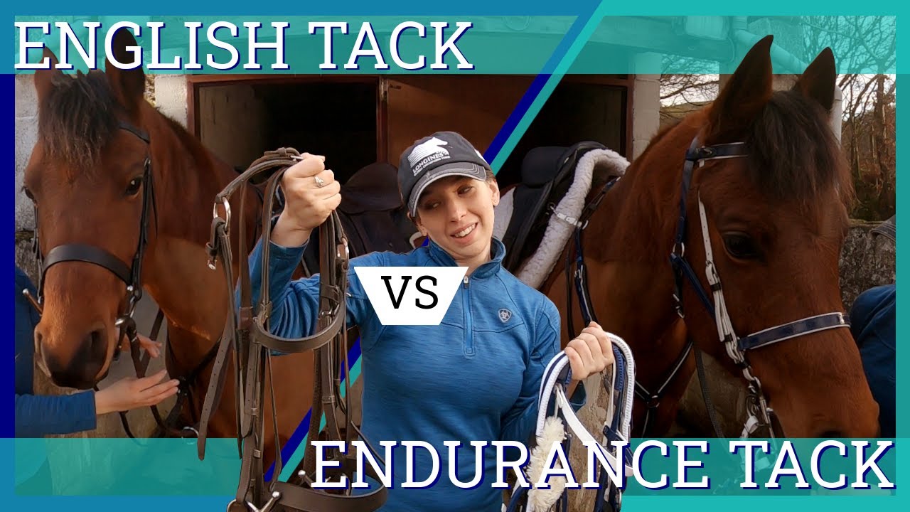 Endurance Horse Tack Vs English Leather Tack - Vlog 61 - Beth Endurance
