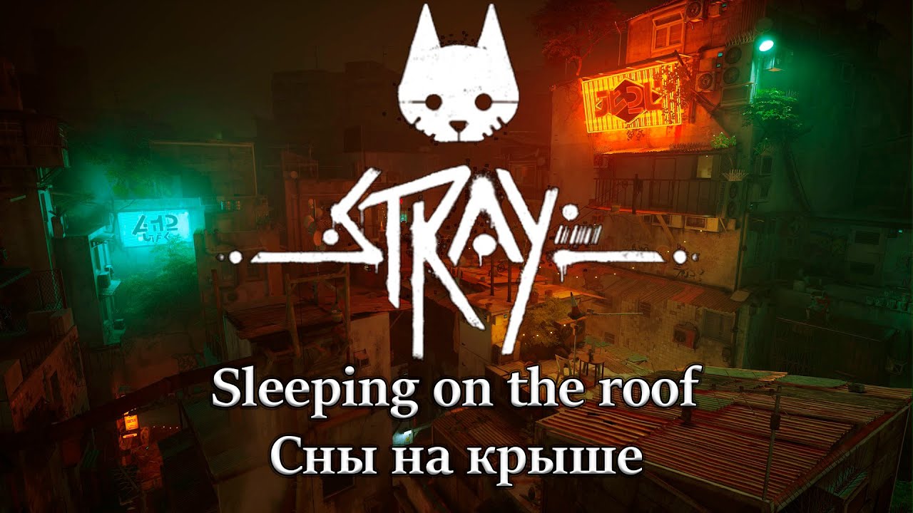 ASMR Stray - Сны на крыше/Sleeping on the roof
