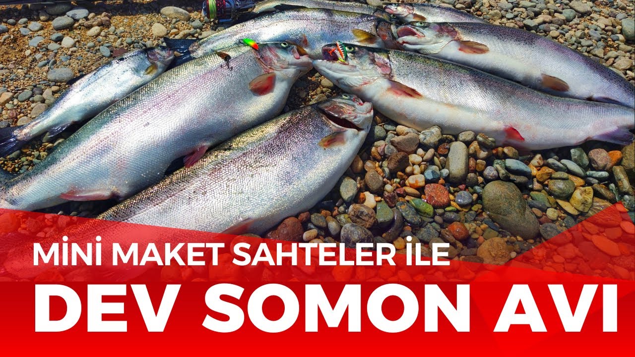 SOMON Avı (LRF Disiplini)