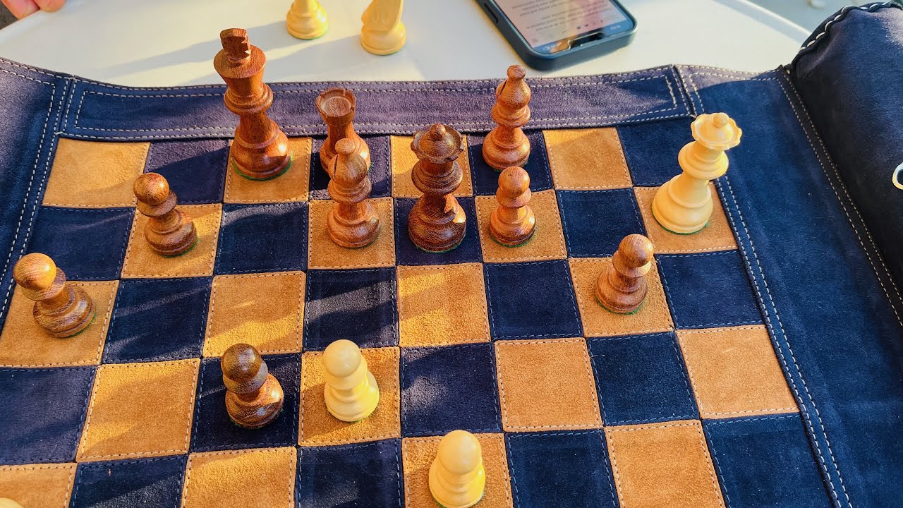 Travel Chess Set Review: Genuine Leather + Rolls Up!