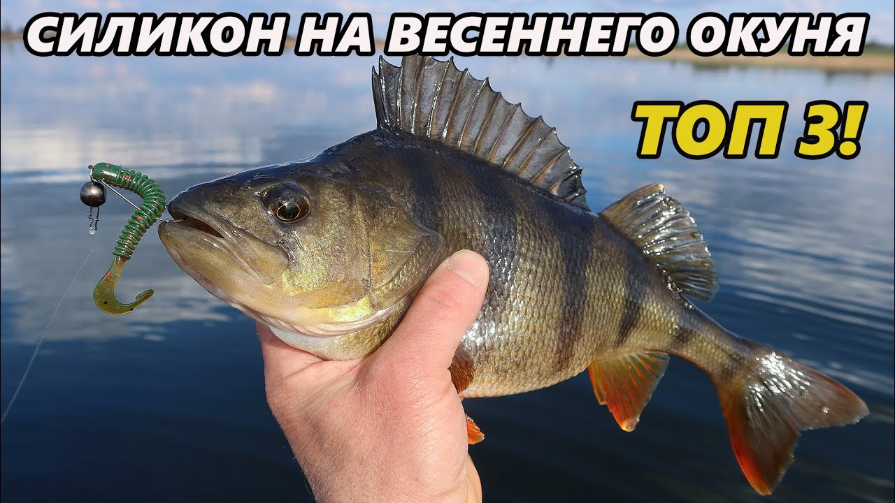 Топ 3 мягких приманок на весеннего окуня. Ловля на микроджиг