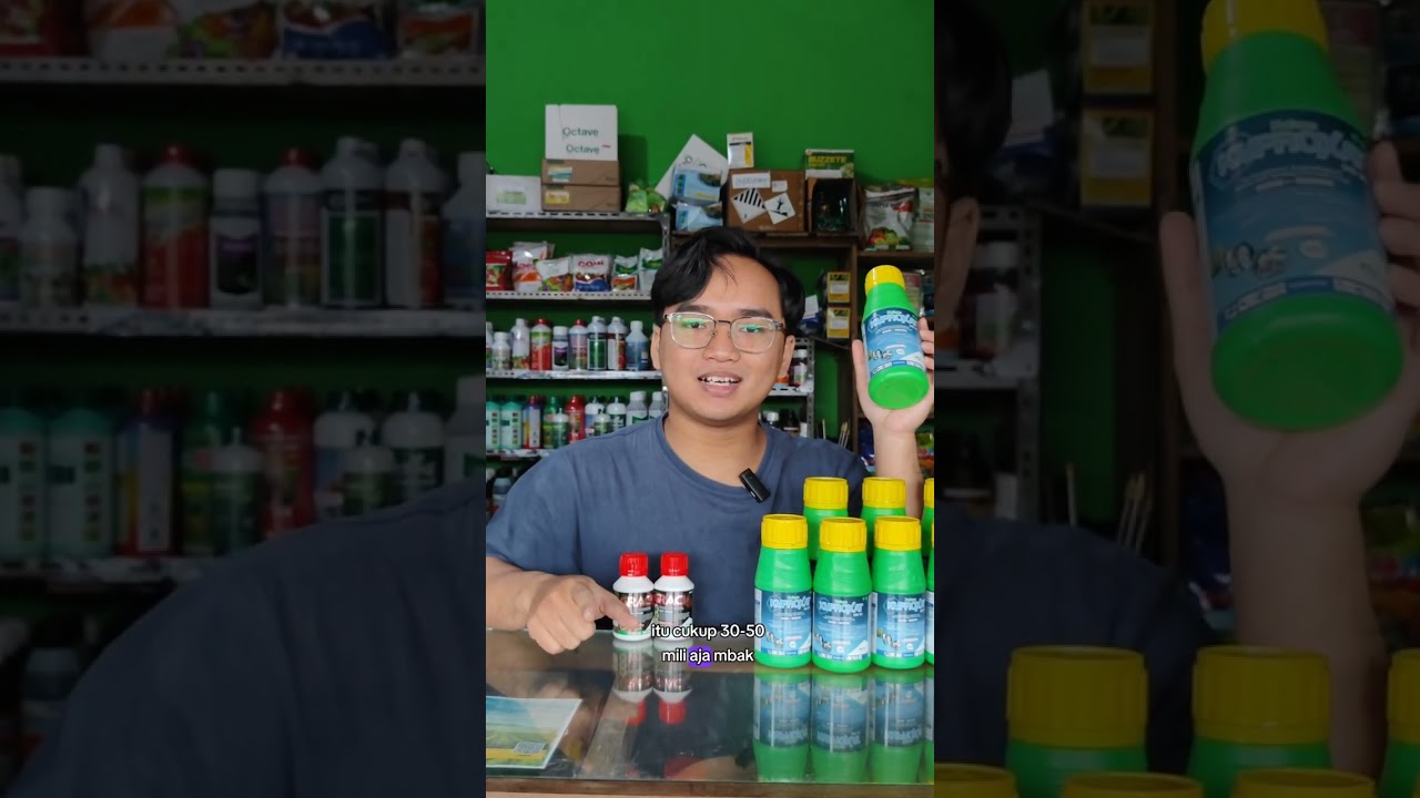 Kendalikan Busuk Batang dengan Fungisida Kuproxat! #benihonline