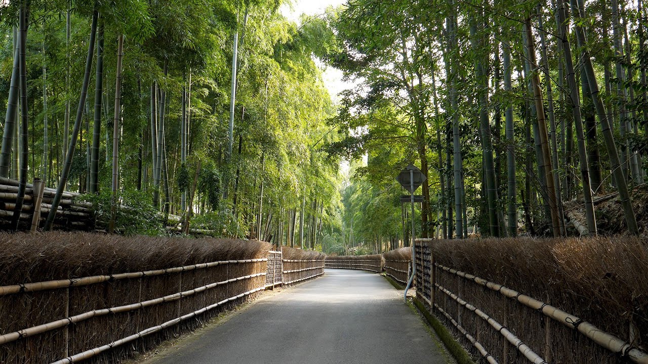 旅の星 Tabinohoshi 「京都 乙訓周遊」 Otokuni, Japan vol.53