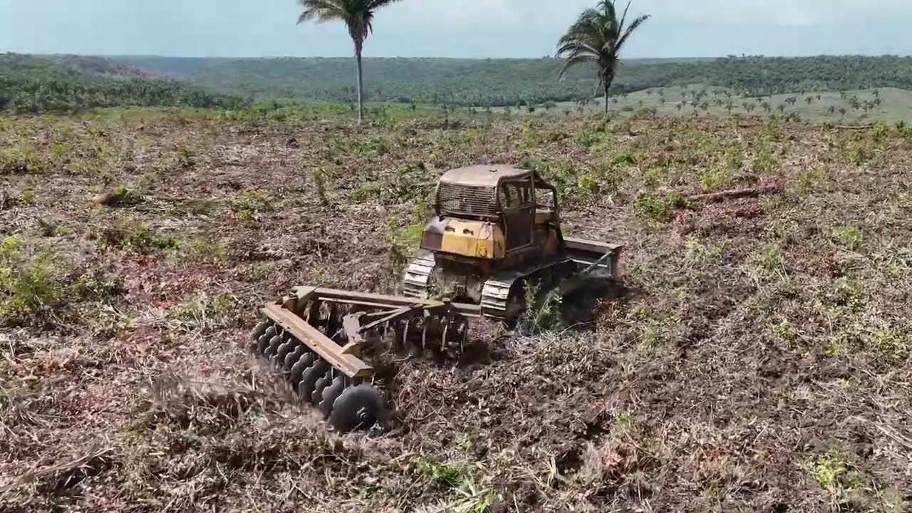 PASSANDO GRADE EM TERRENO PARA PASTO - TRATORES